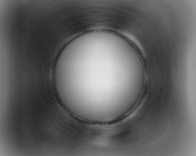 X0000089360937200706150820