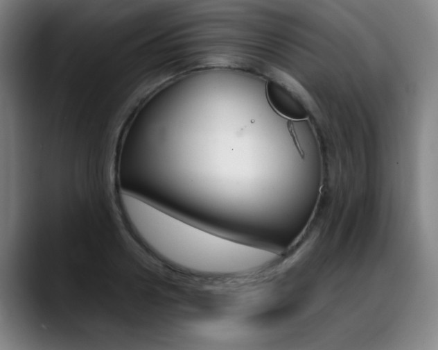 X0000089360938200706150820