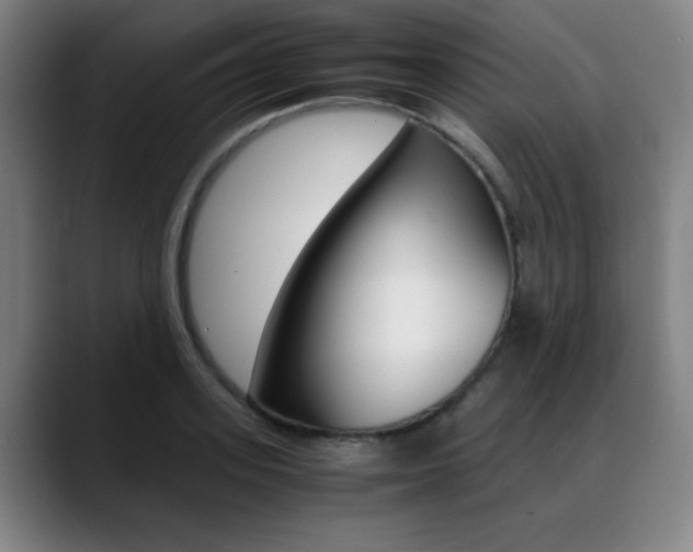 X0000089360939200706150820