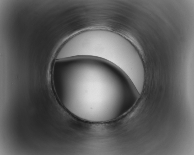 X0000089360944200706150820
