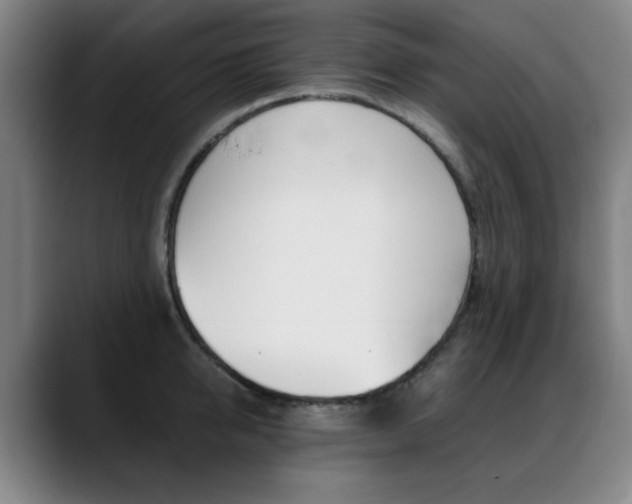 X0000089360950200706150820