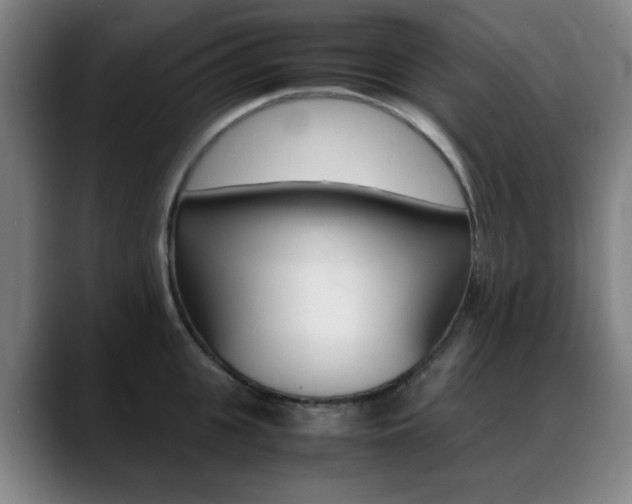 X0000089360951200706150820