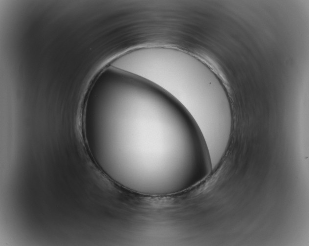 X0000089360952200706150820