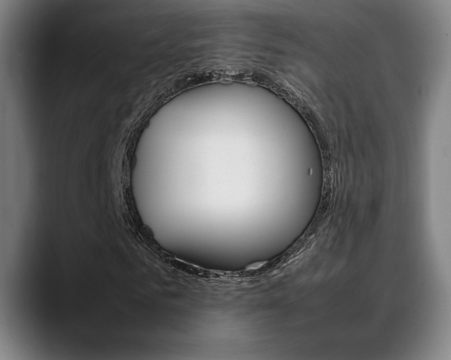 X0000089360961200706150820