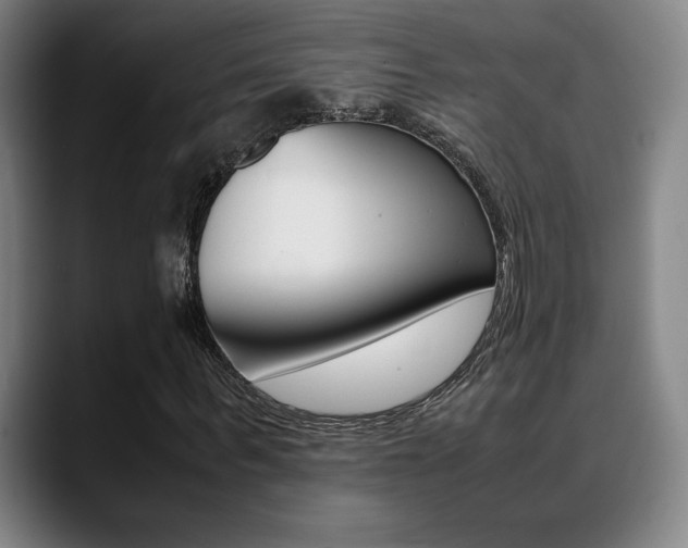 X0000089360963200706150820