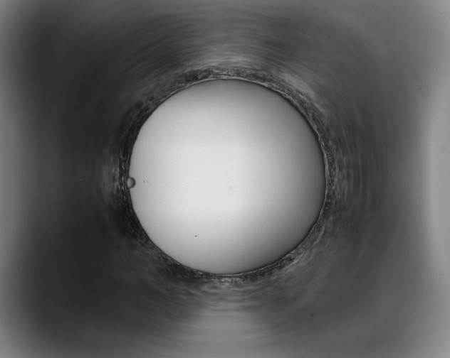X0000089360966200706150820