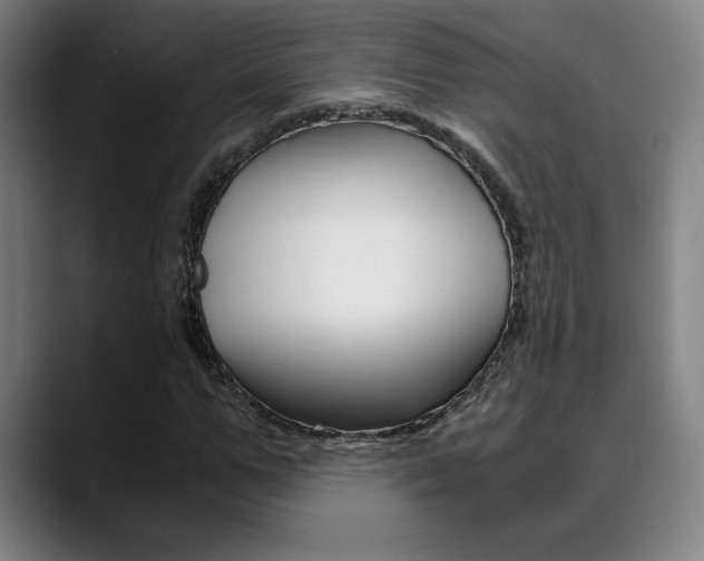 X0000089360967200706150820