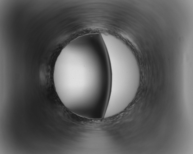 X0000089360968200706150820