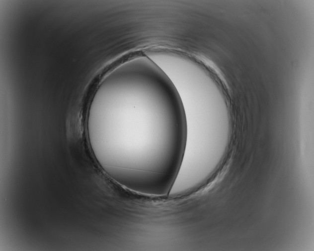 X0000089360973200706150820