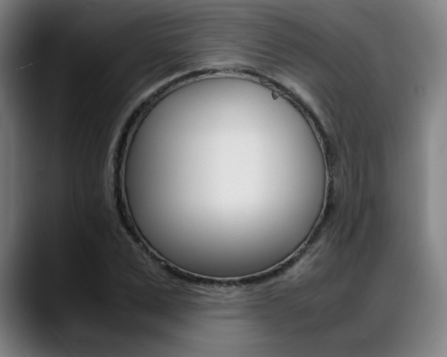 X0000089360975200706150820