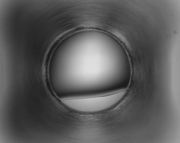 X0000089360976200706150820