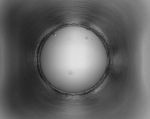 X0000089360978200706150820