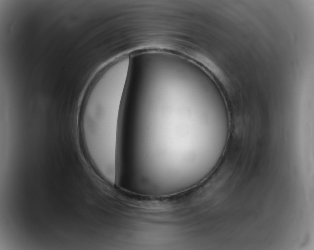 X0000089360980200706150820