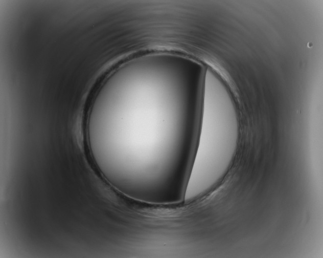 X0000089360984200706150820