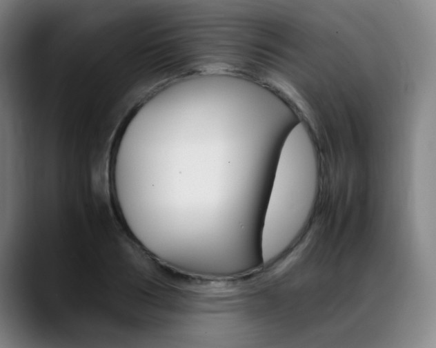 X0000089360986200706150820