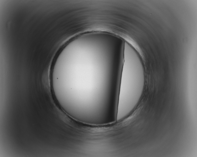 X0000089360988200706150819
