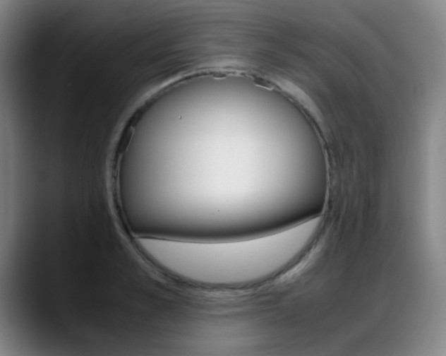 X0000089360989200706150819