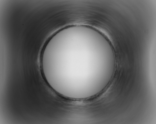 X0000089360990200706150819