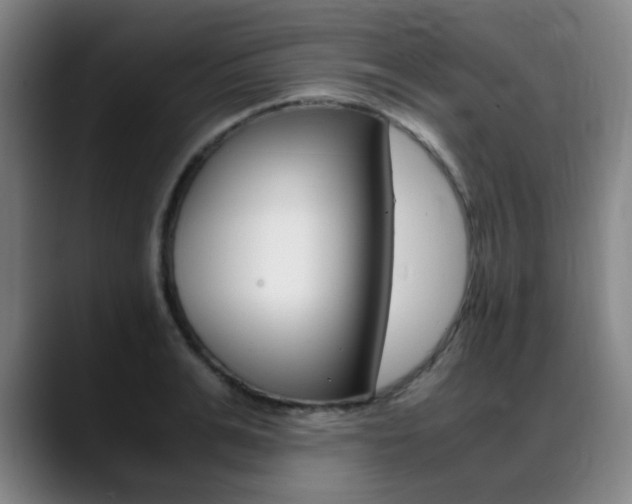 X0000089360991200706150819