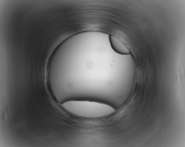 X0000089360994200706150819