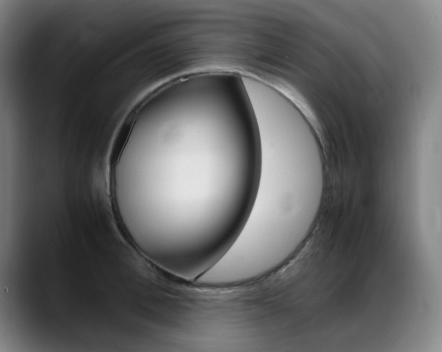 X0000089360996200706150819