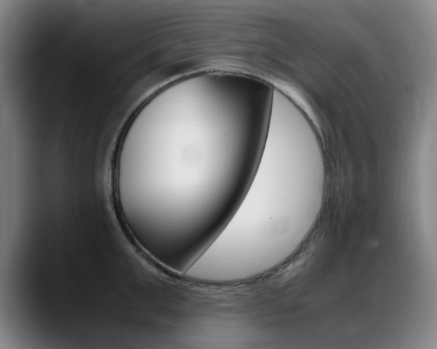 X0000089360999200706150819