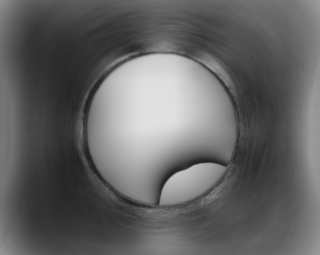 X0000089361000200706150819