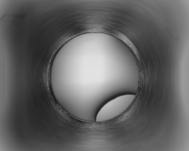 X0000089361002200706150819