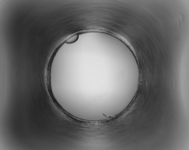 X0000089361003200706150819