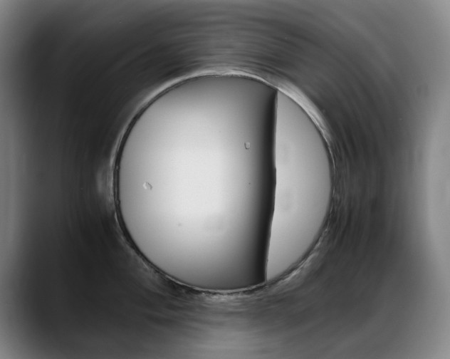 X0000089361004200706150819