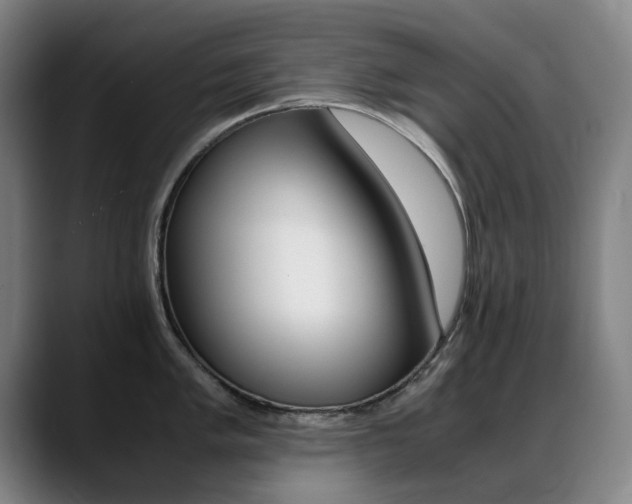 X0000089361005200706150819