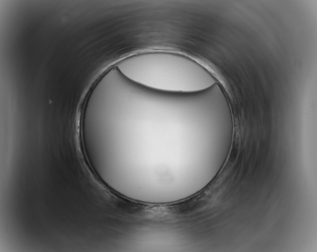 X0000089361006200706150819