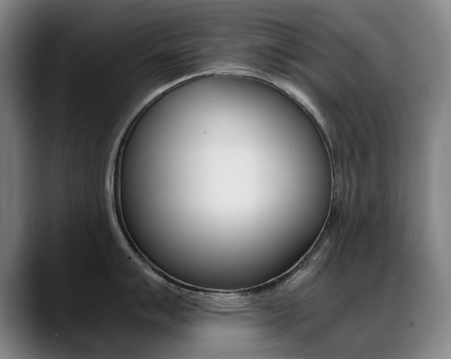 X0000089361007200706150819