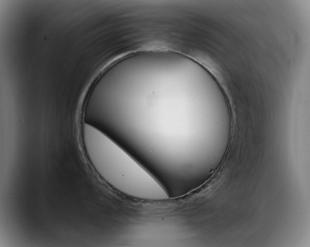 X0000089361008200706150819