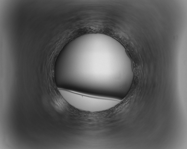 X0000089361009200706150819