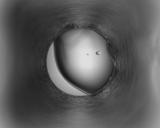X0000089361010200706150819