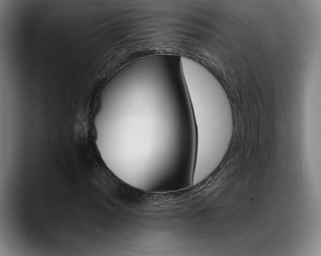 X0000089361012200706150819