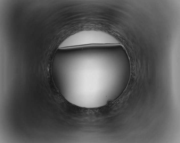 X0000089361013200706150819