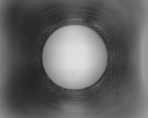 X0000089361014200706150819