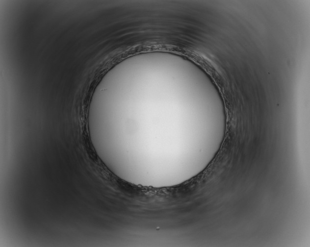 X0000089361015200706150819