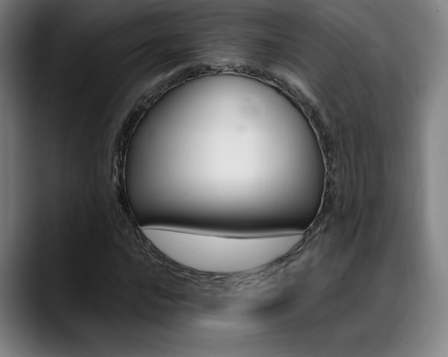 X0000089361016200706150819