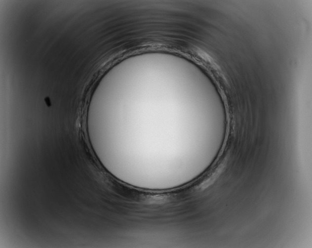 X0000089361017200706150819