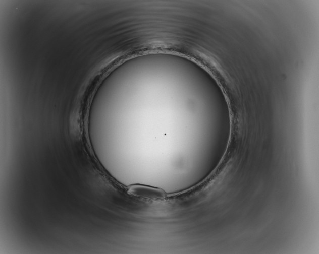 X0000089361018200706150819