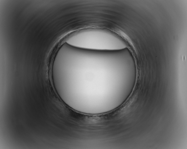 X0000089361019200706150819
