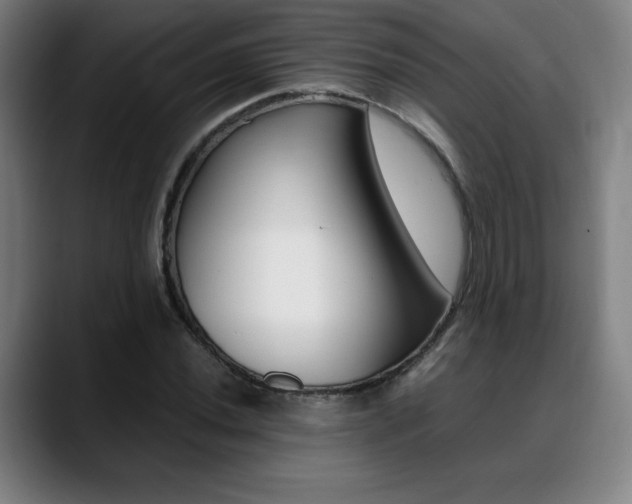 X0000089361020200706150819