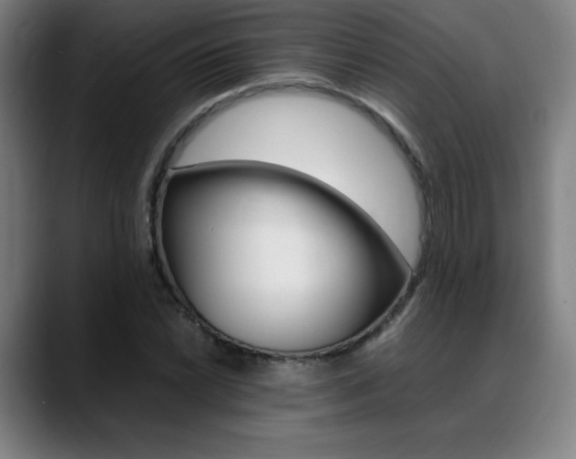 X0000089361022200706150819