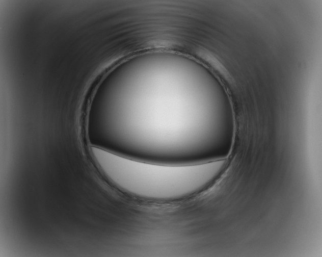 X0000089361026200706150819