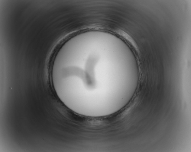 X0000089361027200706150819