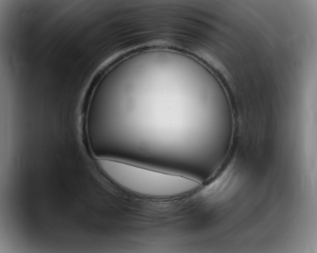 X0000089361029200706150819