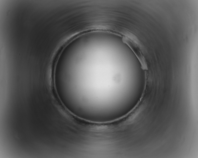 X0000089361030200706150819
